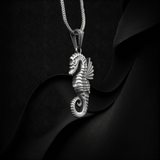 Collar Caballo de Mar